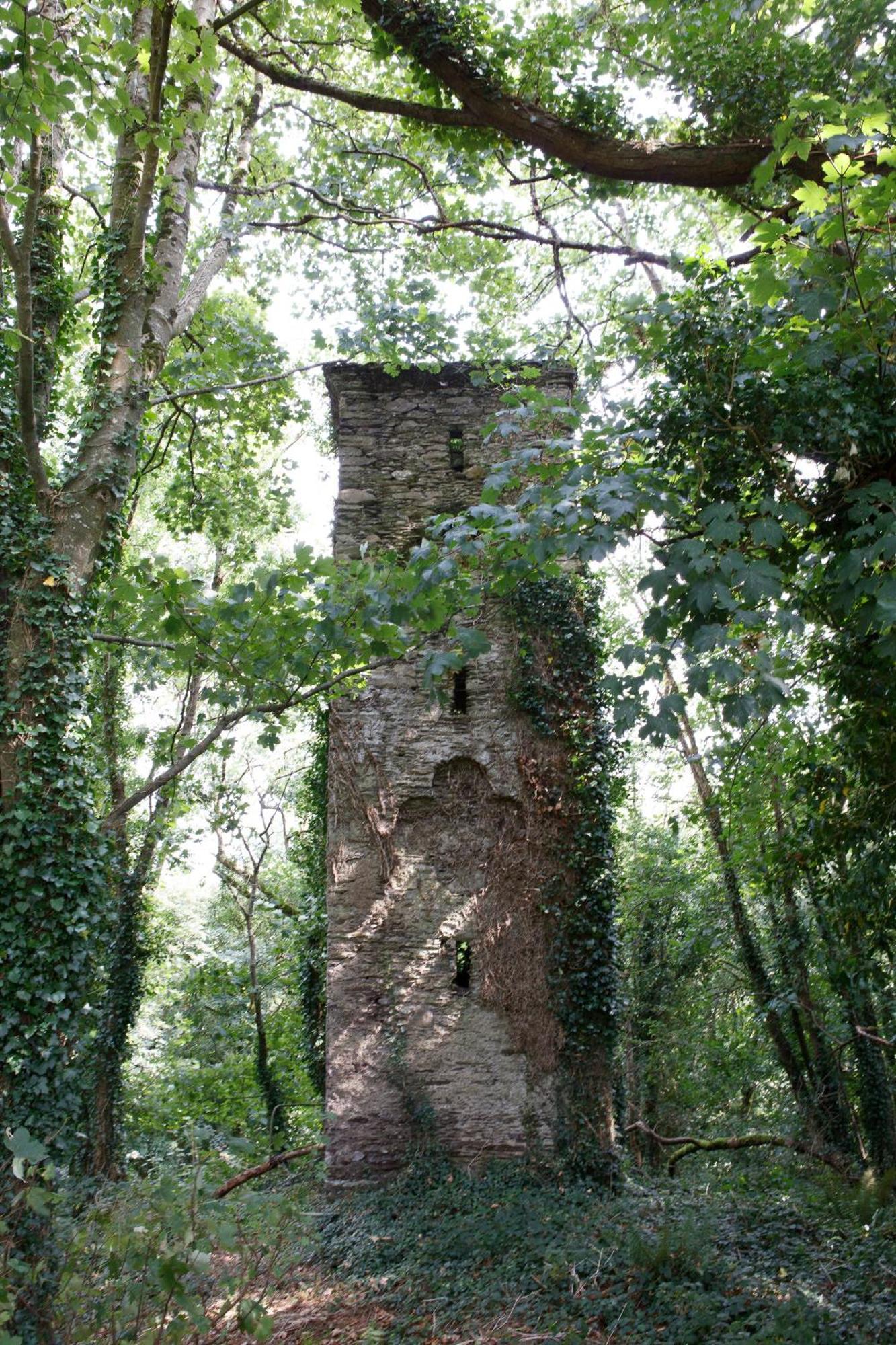 Dripsey Castle Estate Villa Cork Ngoại thất bức ảnh