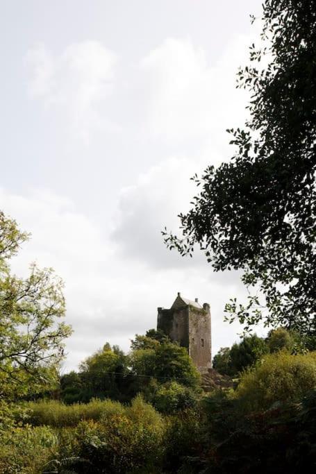 Dripsey Castle Estate Villa Cork Ngoại thất bức ảnh
